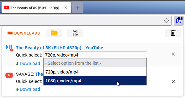 ant video downloader